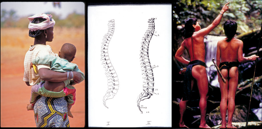 back-pain-promo2_custom-f0b45c9971709faff894cfbc6ee8afdac7c7b7d5-s900-c85
