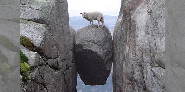 newimageframed-600x300