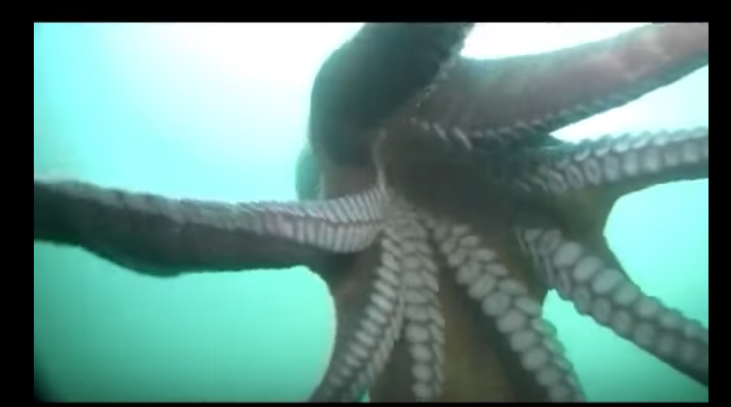 screen_shot_2018_06_01_at_9_25_15_am